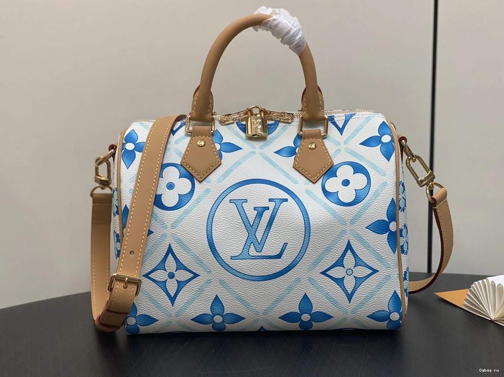 Louis Vuitton SPEEDY 25 0710